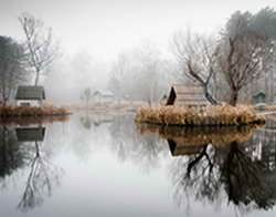 Новые эмодзи, которые появились в iOS 26.4: какие есть и что они значат