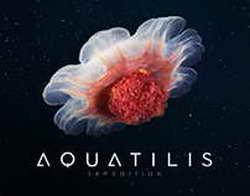 Неделя моды в Париже: Дева Кассель, Ксения Собчак, Шарлиз Терон, Ольга Карпуть и дочь Миллы Йовович на показе Dior