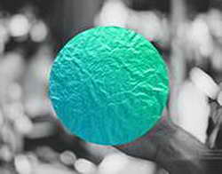 Почему сыр с муравьями стал хитом продаж: история нового деликатеса