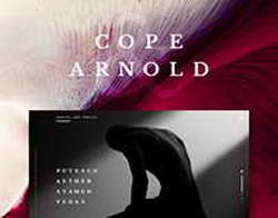 Дина Саева впервые вышла в свет после задержания бойфренда Никиты Ефремова